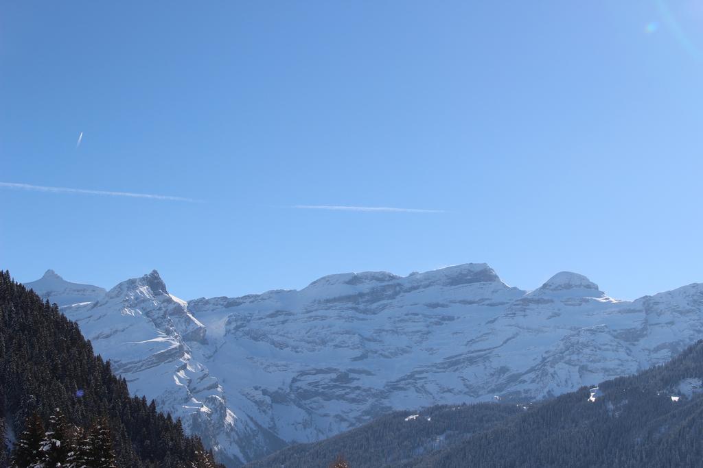 Les Frenes Apartment Leysin Exterior photo
