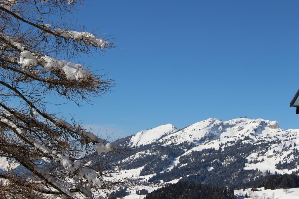 Les Frenes Apartment Leysin Exterior photo