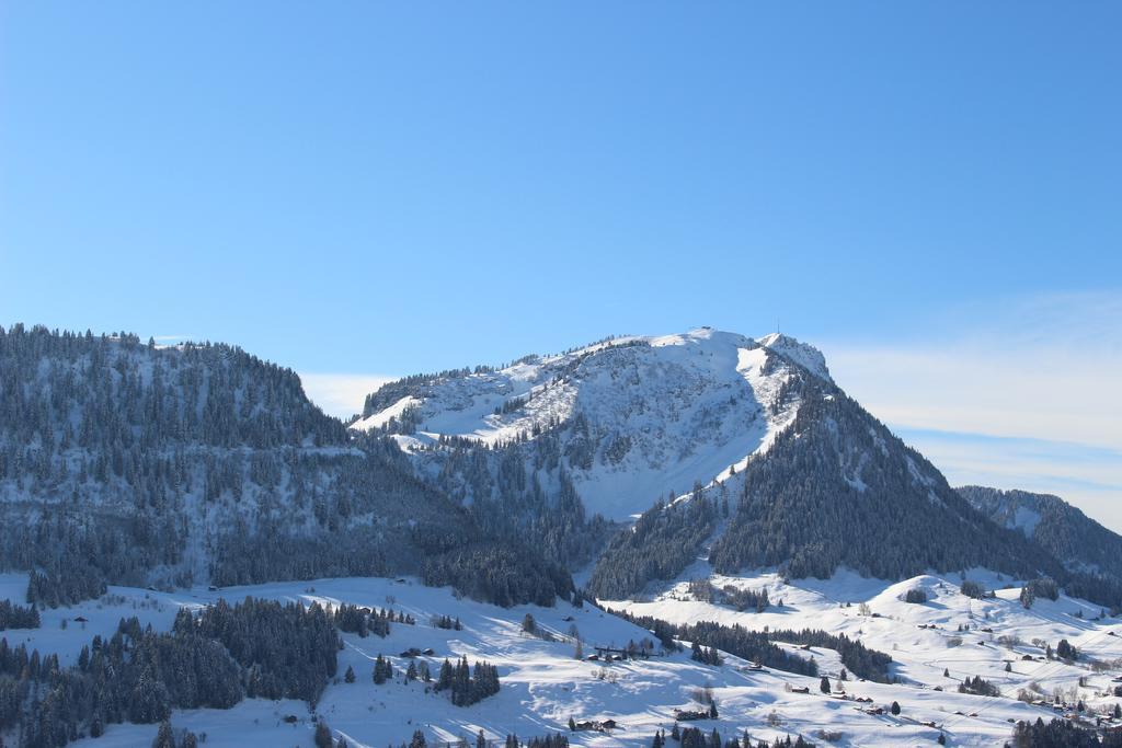 Les Frenes Apartment Leysin Exterior photo